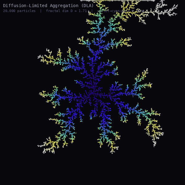 Diffusion-Limited Aggregation