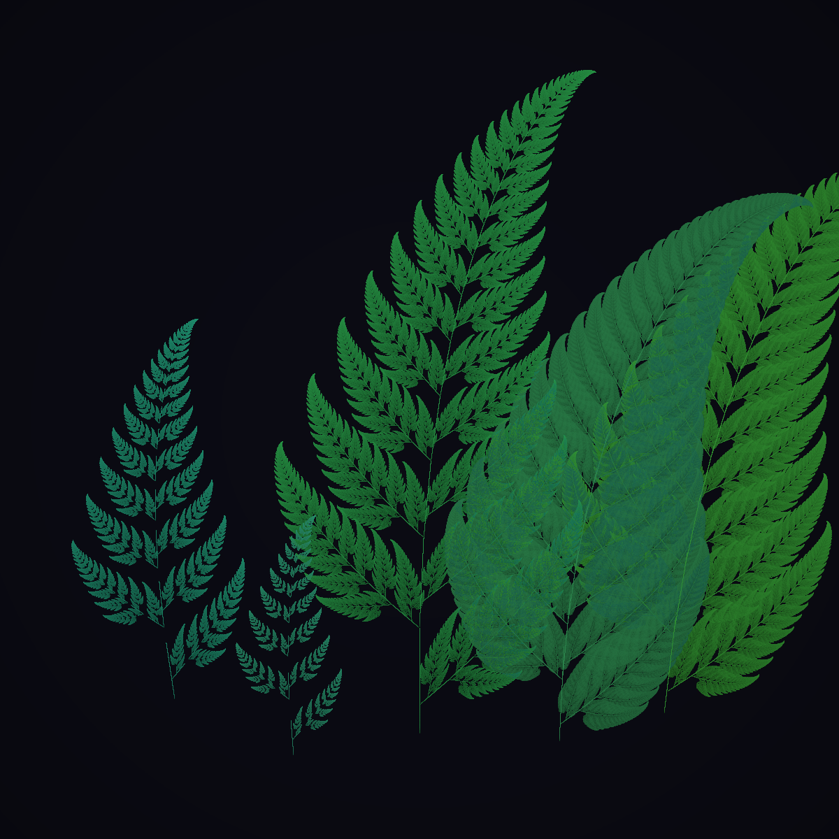 Fern Garden