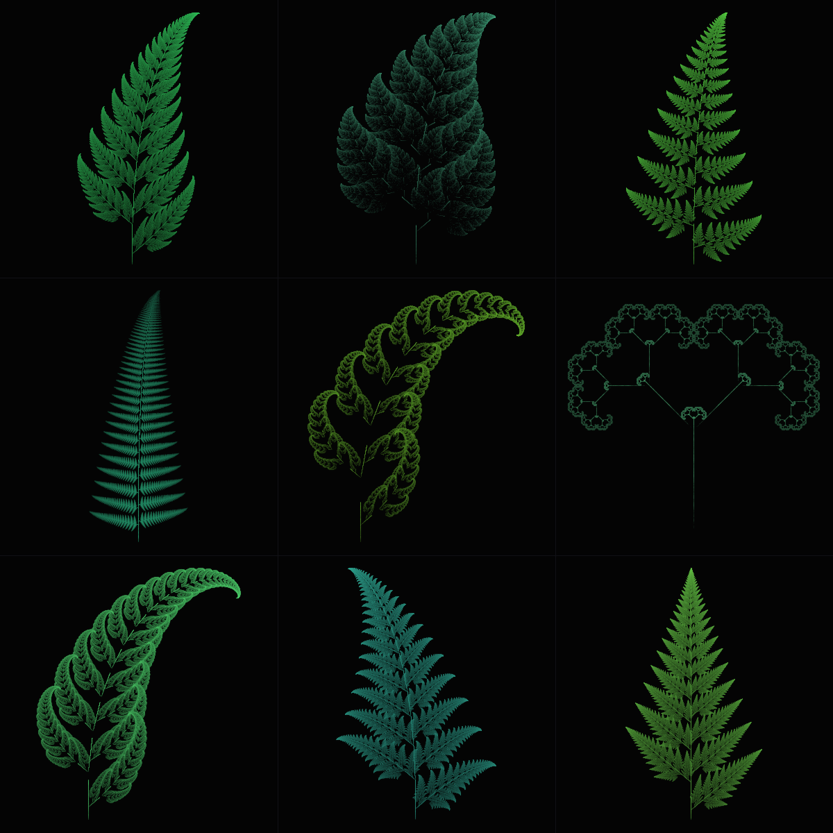 Fern Mutation Gallery