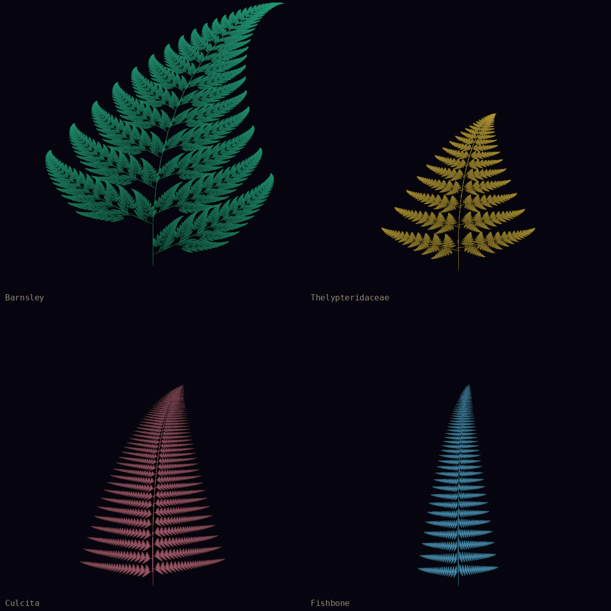 Fern Variants