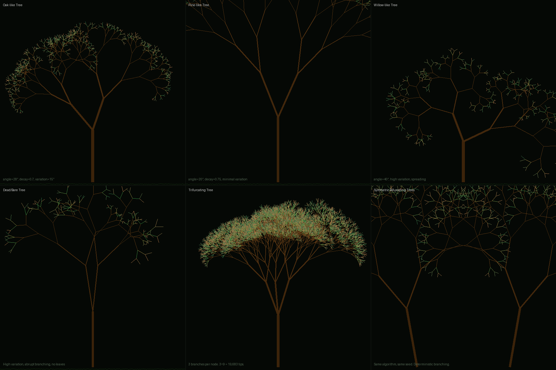 Fractal Trees