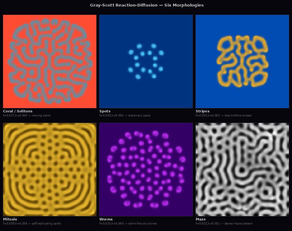 Gray-Scott Reaction-Diffusion