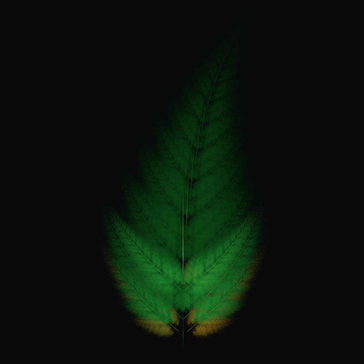 IFS Leaf