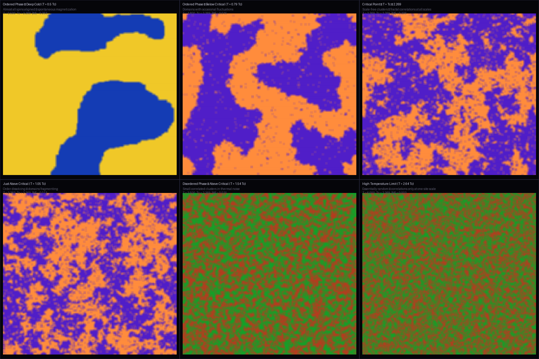 Ising Model Phase Transition