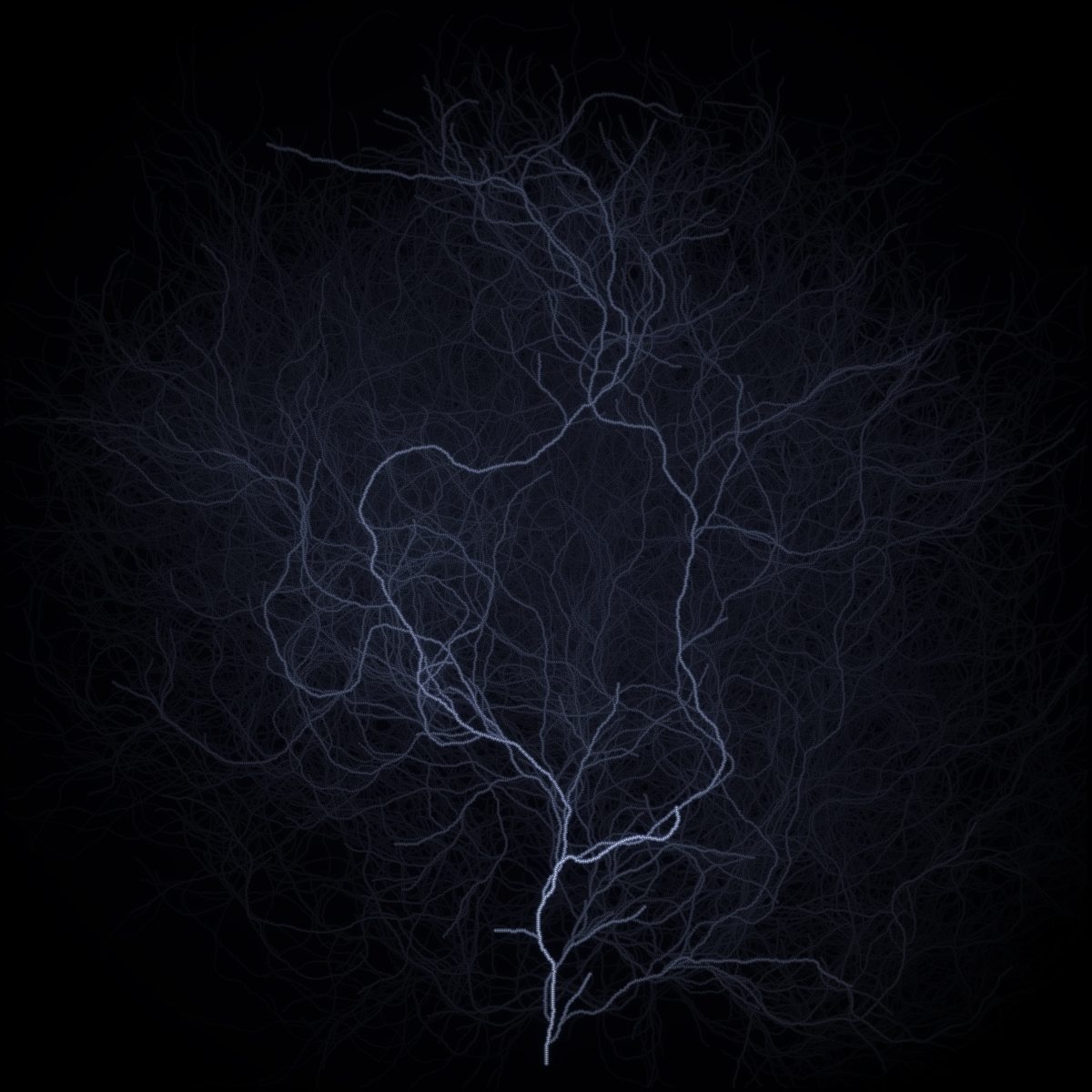 Lichtenberg Figure