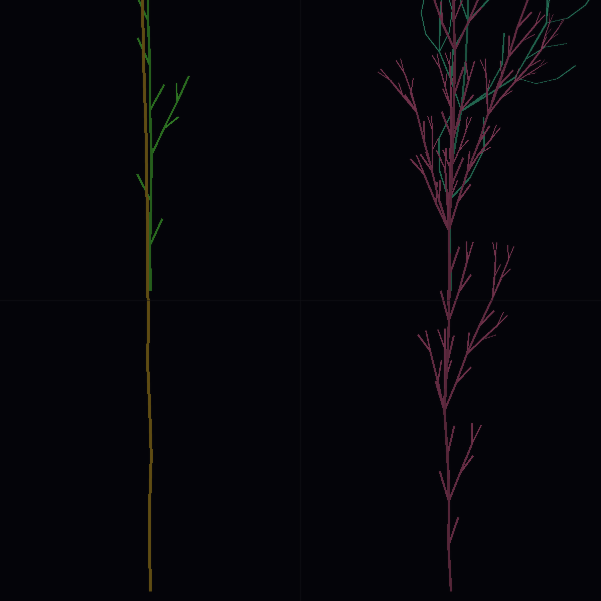 Stochastic L-System Trees