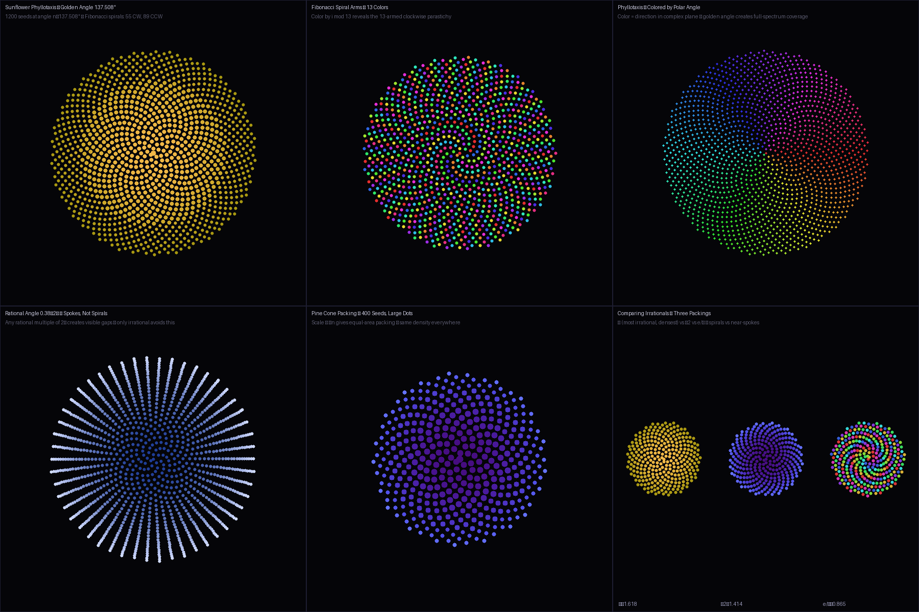Phyllotaxis — Golden Angle