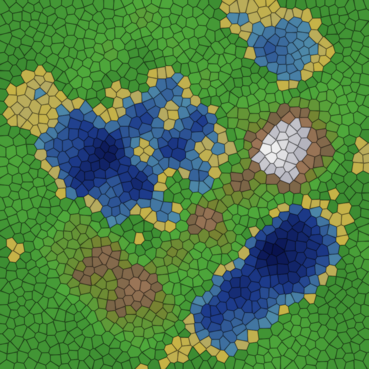 Voronoi Topographic Map