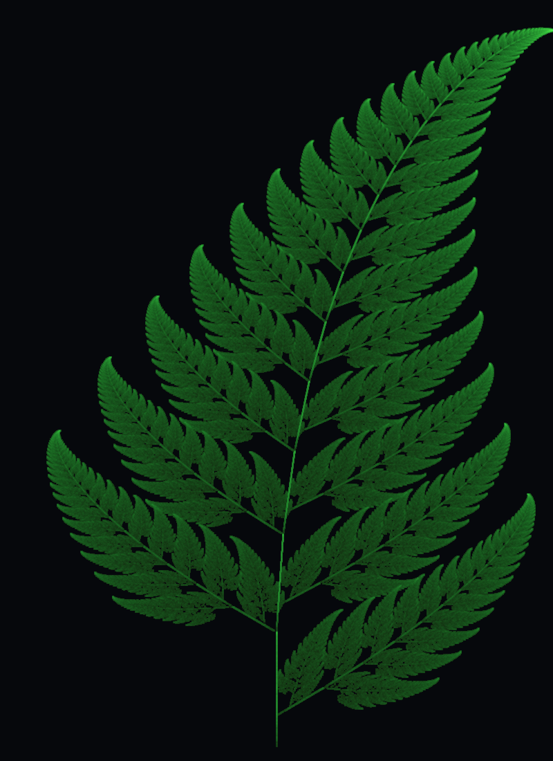 Barnsley Fern