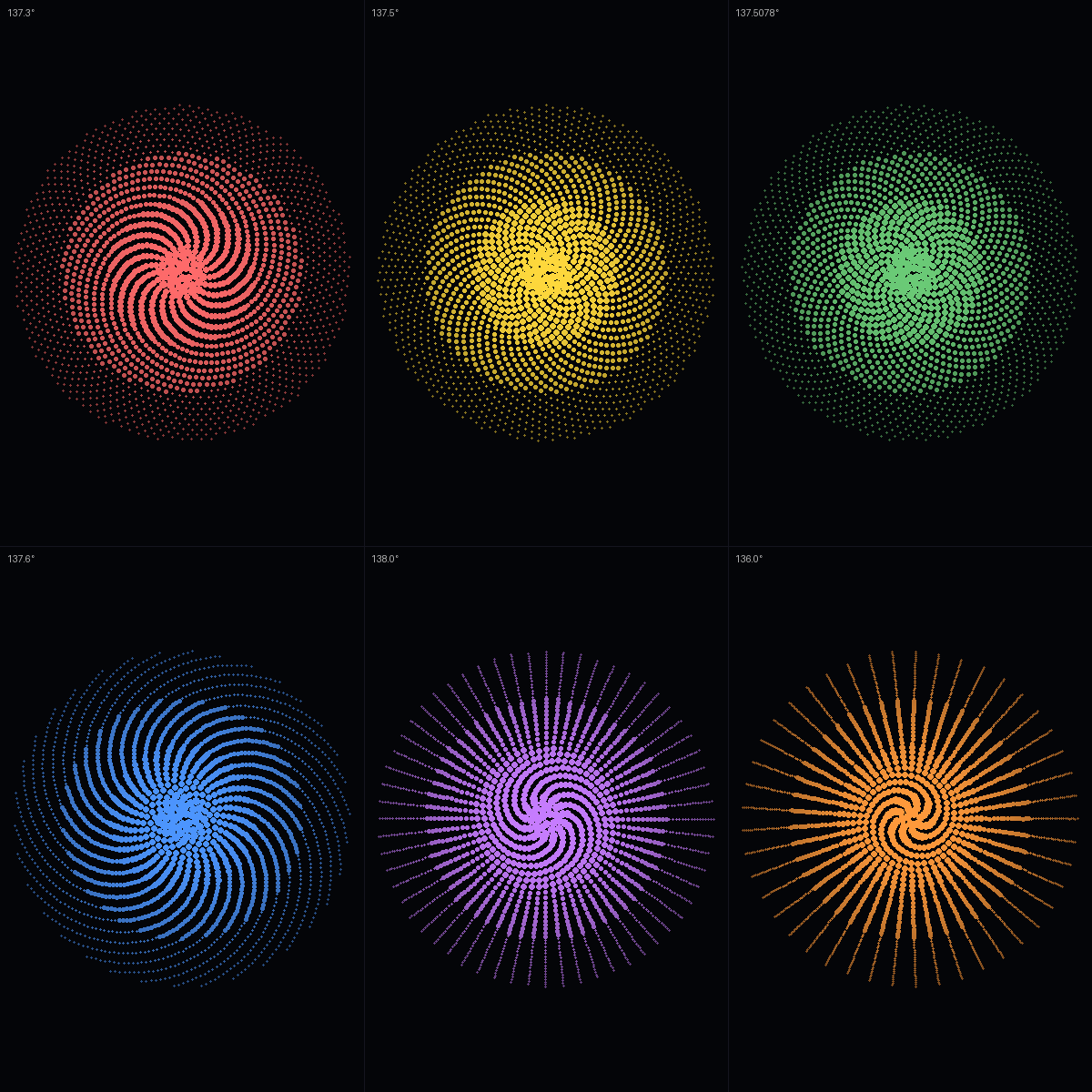 Phyllotaxis — Golden Angle Sensitivity